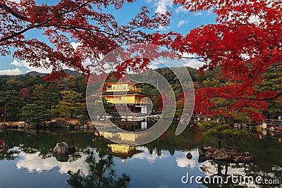 Kinkaku-ji Temple with Red leaf in Autumn season Stock Photo