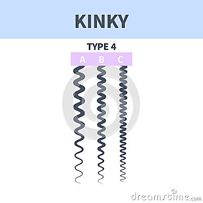 Kinky hair type chart of strands growth patterns Vector Illustration
