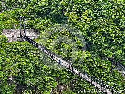 Kinu Tateiwa Otsuribashi Suspension Bridge in Nikko Japan Editorial Stock Photo
