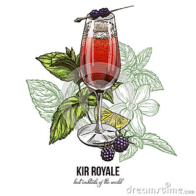 Kir Royale cocktail with blackberries Vector Illustration