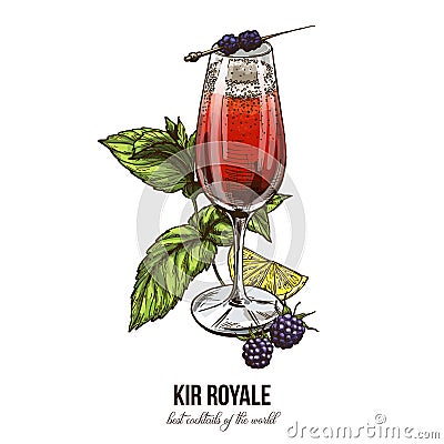 Kir Royale cocktail with blackberries Vector Illustration