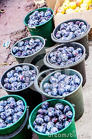 Kirgizstan market- plums Stock Photo