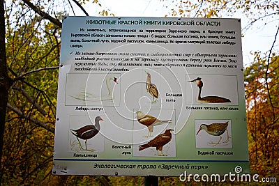 Kirov, Russia - September 20, 2021: A poster in the park with drawings of wild birds and their names. Information plate Editorial Stock Photo
