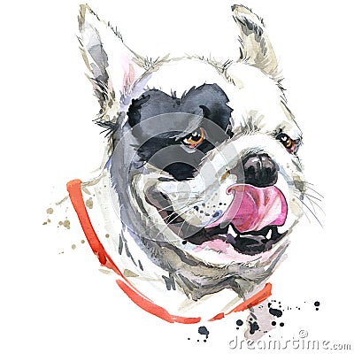 Kiss French Bulldog T-shirt graphics. dog illustration with splash watercolor textured background. unusual illustration Cartoon Illustration