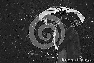 Kiss in the moonlight. Raster Stock Photo