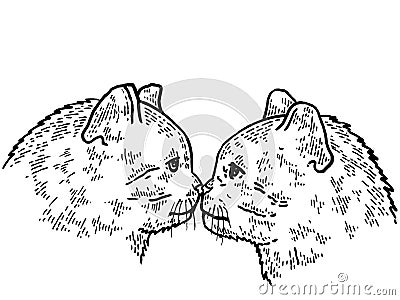 Kiss of two cats sketch engraving vector illustration. T-shirt apparel print design. Scratch board style imitation. Vector Illustration