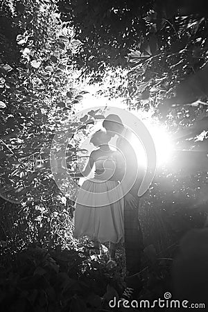 Kissing couple on the background sunshine forest Stock Photo