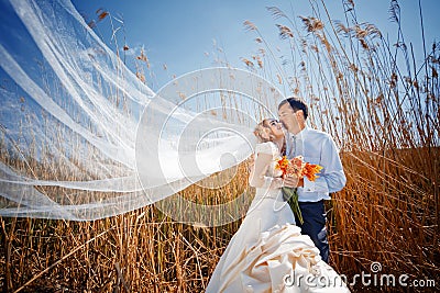 Kissing wedding couple Stock Photo