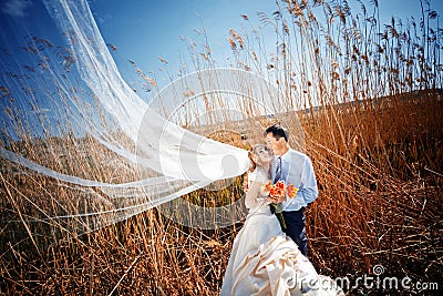 Kissing wedding couple Stock Photo