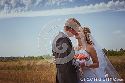 Kissing wedding couple in high grass Stock Photo