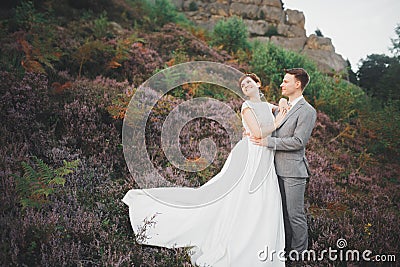 Kissing wedding couple staying over beautiful landscape Stock Photo
