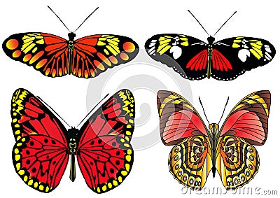 Kit butterfly is insulated Vector Illustration