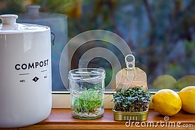 Kitchen food waste compost container, with recycled jar and tin used to grow salad greens on sunny window ledge Stock Photo