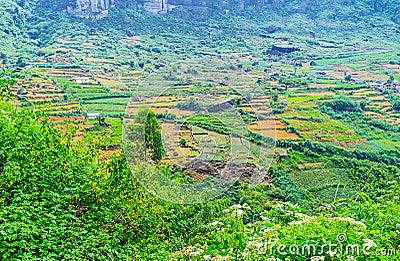 Kitchen gardens in mountains Stock Photo