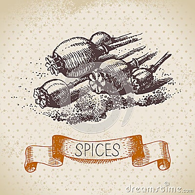 Kitchen herbs and spices. Vintage background with hand drawn sketch poppy seeds Vector Illustration