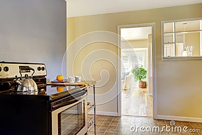 Kitchen interior with white cabinets and bright navy walls Stock Photo