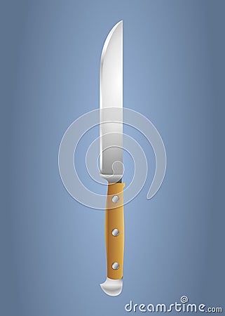 Kitchen knife blade object Vector Illustration