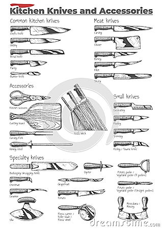 Kitchen knives and accessories Vector Illustration