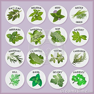 Kitchen Stickers with Culinary Spices Cartoon Illustration