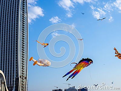 Kite Festival. Kites in the sky. A spectacle in the sky. Wind is like a force. air objects. Various forms. A beautiful sight Editorial Stock Photo