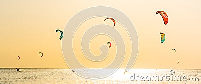 Kite-surfing and a lot of silhouettes of kites in the sky. Holidays on nature. Artistic picture. Beauty world. Panorama Stock Photo