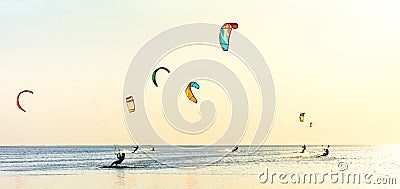 Kite-surfing and a lot of silhouettes of kites in the sky. Holidays on nature. Artistic picture. Beauty world. Panorama Editorial Stock Photo