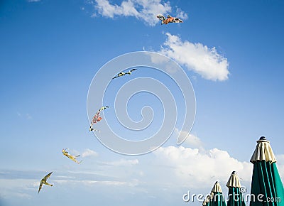 Kites and beach umbrellas Stock Photo