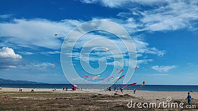 Kites at Cagliari Stock Photo