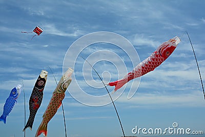 Kites soaring in the sky. Editorial Stock Photo