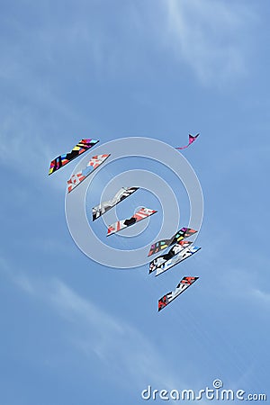 Kites soaring in the sky. Editorial Stock Photo