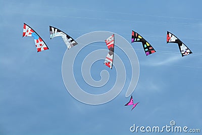 Kites soaring in the sky. Editorial Stock Photo