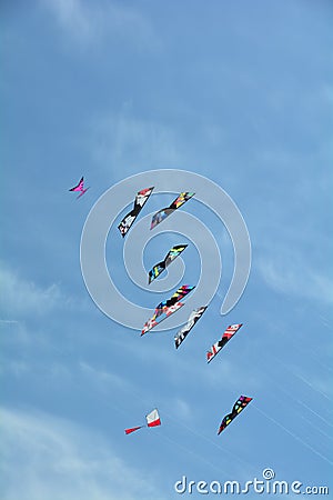 Kites soaring in the sky. Editorial Stock Photo