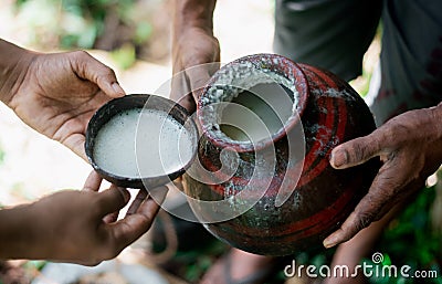 Kitul Toddy.Srilankan traditional drink.it's made kithul tree Stock Photo