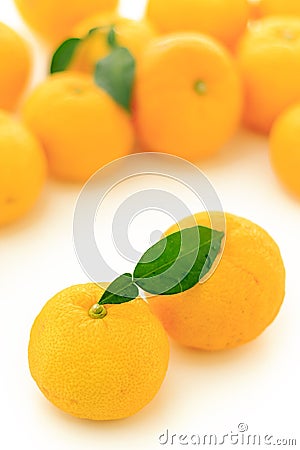 Kito Yuzu Stock Photo