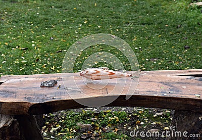 Kitschy, arty glass fish on a wooden table Stock Photo