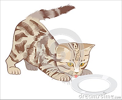 Kitten Vector Illustration