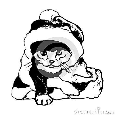 Kitten in a Christmas costume Vector Illustration