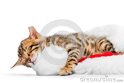 Kitten conveniently arranged for sleeping in a cap Stock Photo