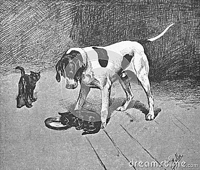The kitten drinks milk, the dog looks at the kitten by Mahler in the old book Catalogue Illustre, by L. Baschet, 1898, Paris Stock Photo