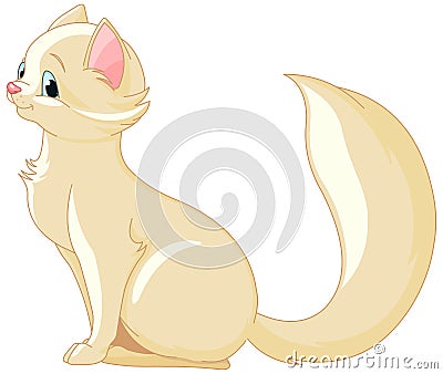 Kitten Vector Illustration