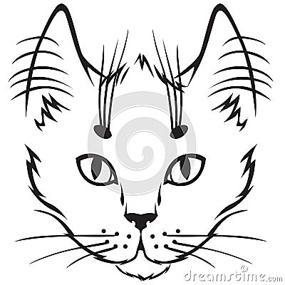 Kitten muzzle Vector Illustration