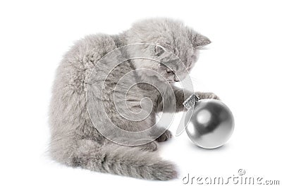 Kitten playing with ball isolated Stock Photo