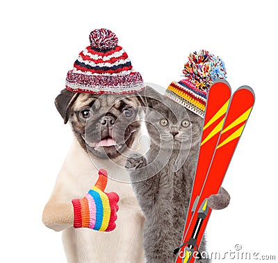 Kitten and Puppy in warm hat holding skiing and showing thumbs up. isolated on white background Stock Photo