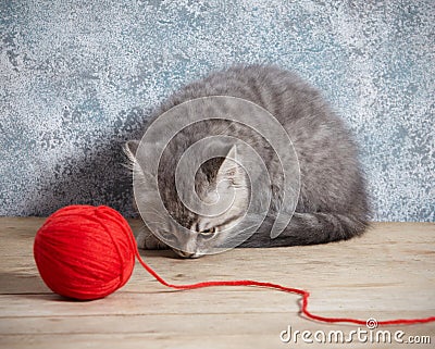Kitten and red thread ball Stock Photo