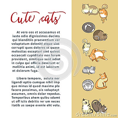 Kittens cute cats domestic animals or pets feline Vector Illustration