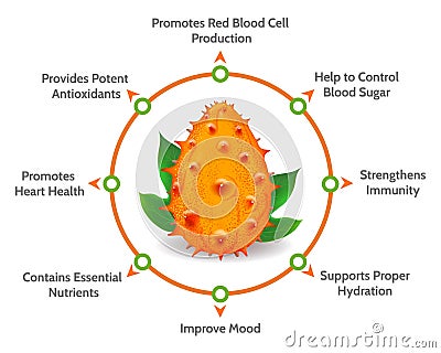 Kiwano melon benefits diagram Vector Illustration