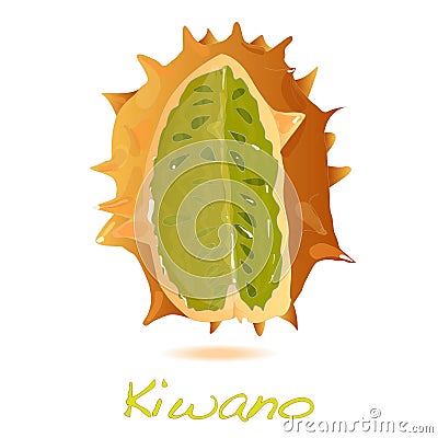 Kiwano melon vector Vector Illustration