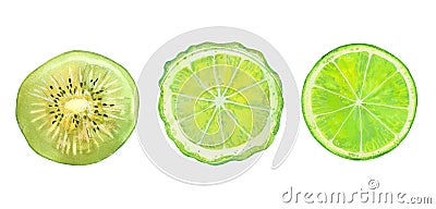 Kiwi, bergamot and lime Cartoon Illustration