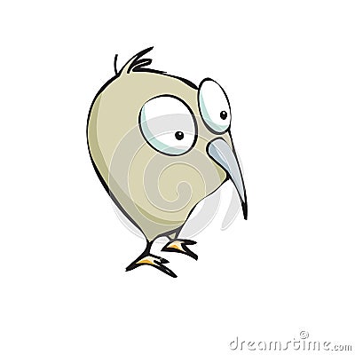 Kiwi Bird Stock Vector - Image: 39342198