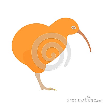 Kiwi bird illustration. Cartoon Illustration